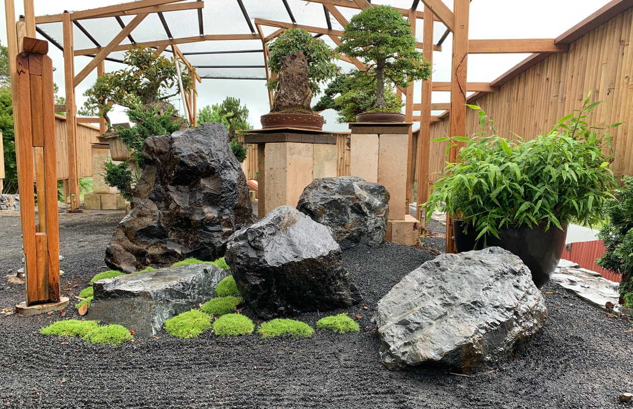 australian bonsai gallery landscaping 01