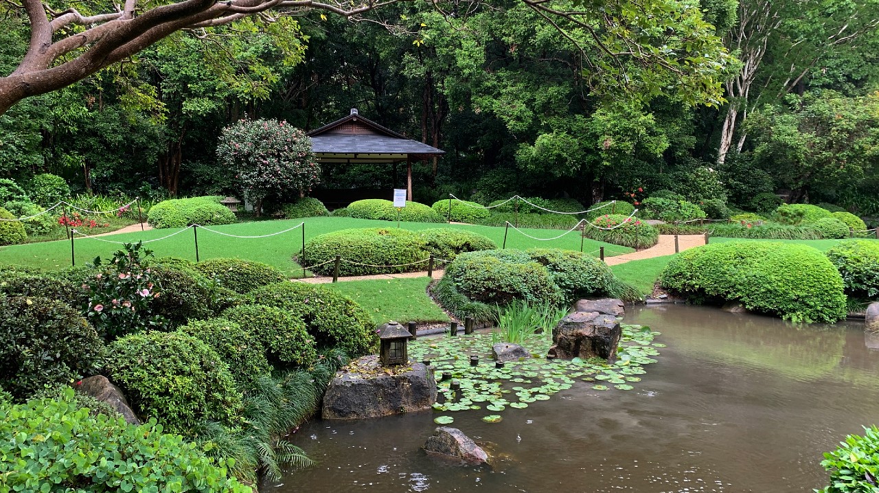 japanese gardens mt coot tha 01