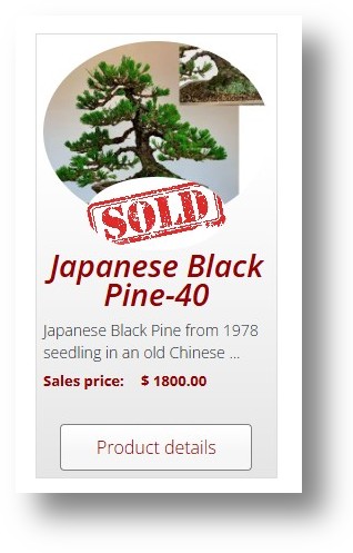 sold pine