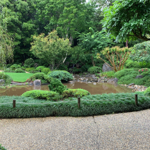 japanese-gardens-mt-coot-tha-1 (1)