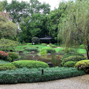 japanese-gardens-mt-coot-tha-1 (2)