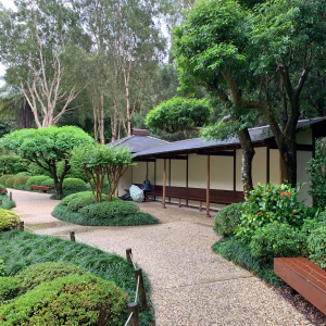 japanese-gardens-mt-coot-tha-1 (3)