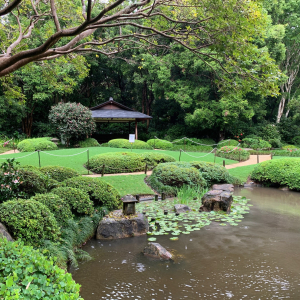japanese-gardens-mt-coot-tha-1 (4)